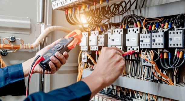 Best Licensed Electrician  in Windom, MN