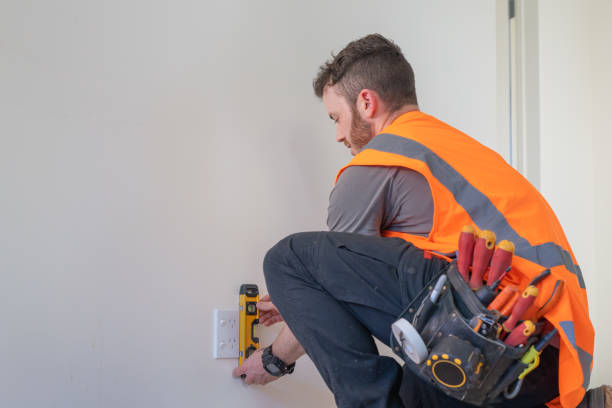 Best Electrician for Home Renovation  in Windom, MN
